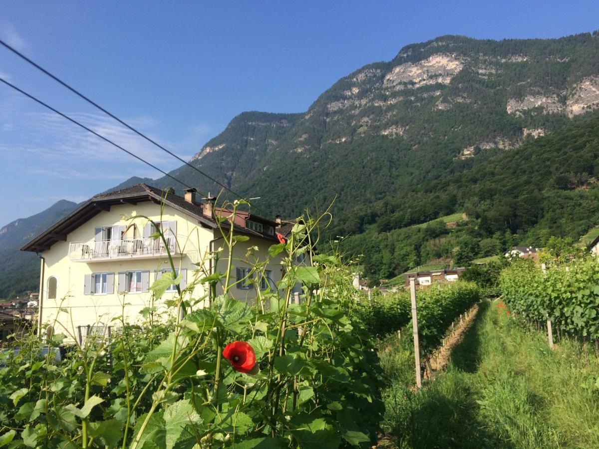 Strengen Guesthouse Caldaro Dış mekan fotoğraf